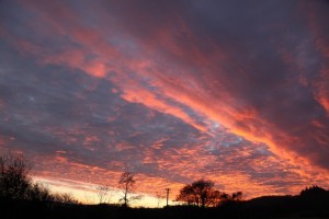 FROM NOEL FERRY, TAKEN AT BALLYMACOOL, LETTERKENNY - DONEGALDAILY.COM