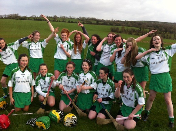 Under 14 Camogie Feile Final (6)