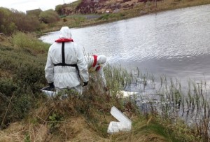 Rangers examine the dead swan found in Mullaghduff yesterday