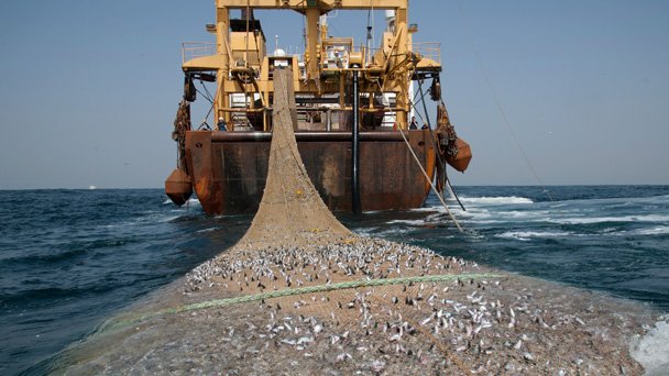 president-of-super-trawlers-say-we-re-fishing-ethically-donegal-daily