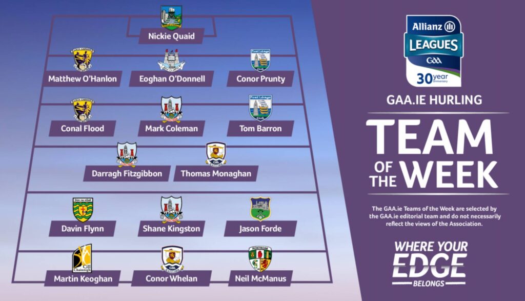 Setanta s Davin Flynn named in GAA.ie Hurling Team of the Week