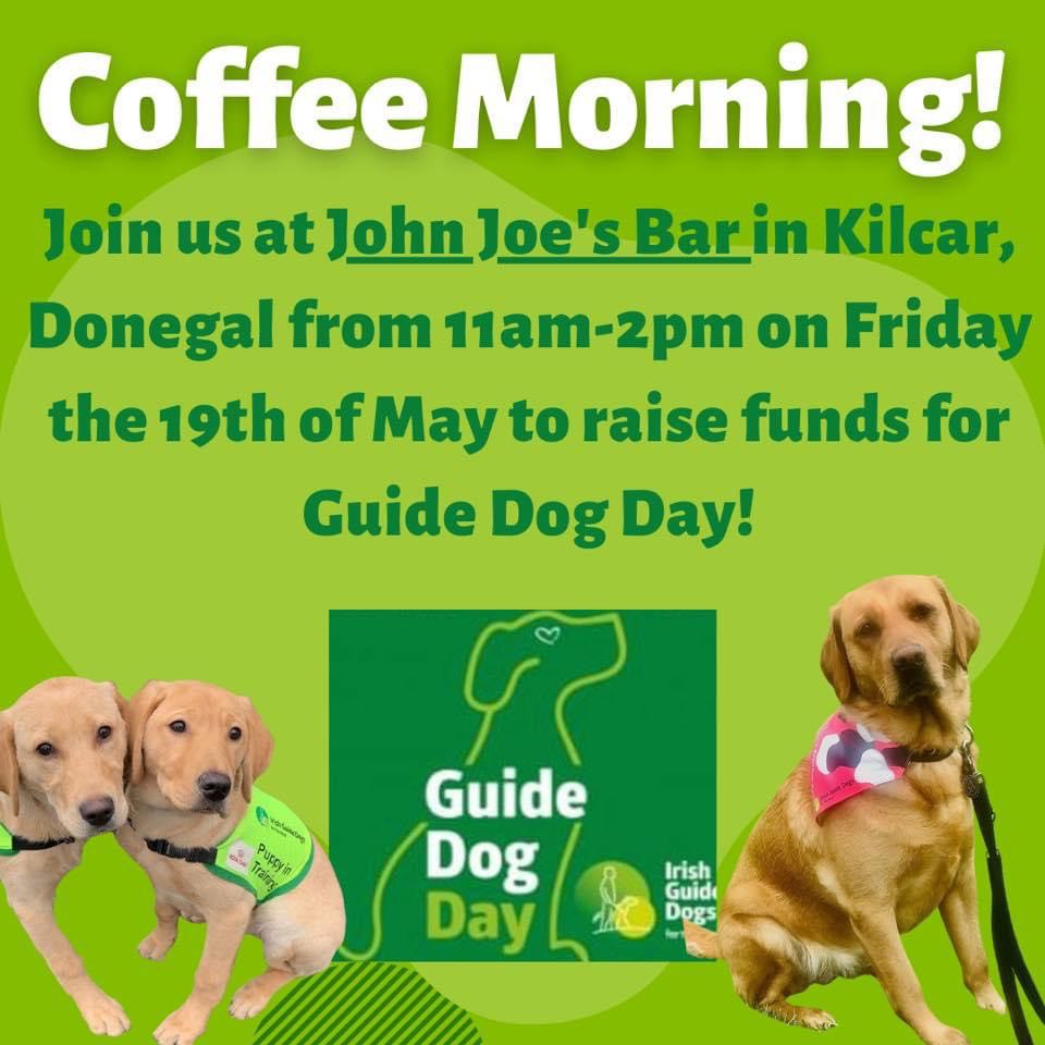 Guide dog day store 2019