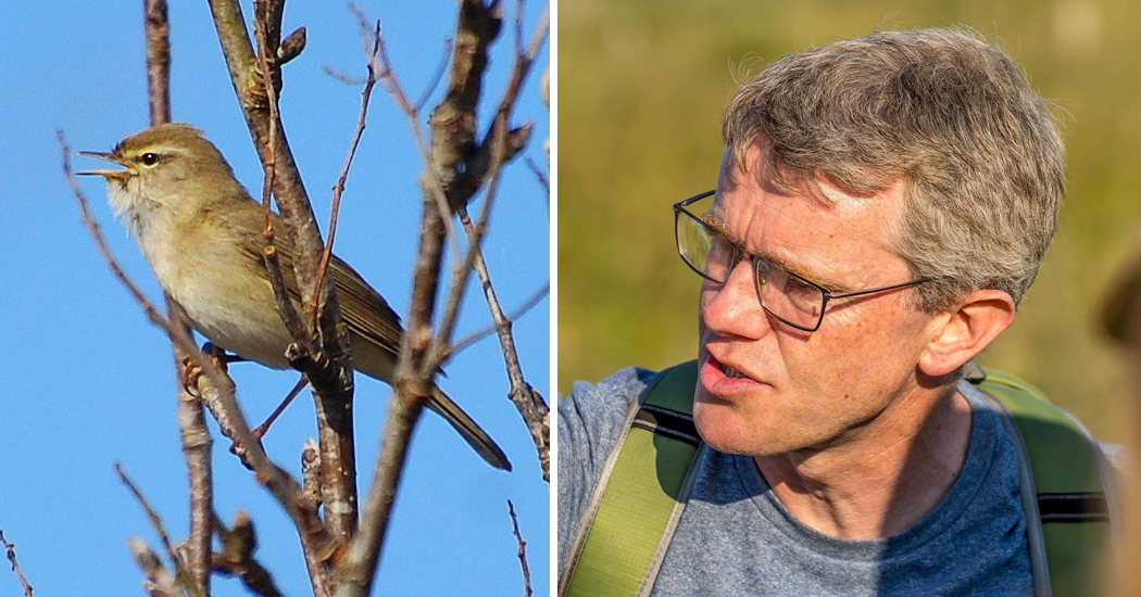 Free walk and talk event at Glenveagh to focus on migratory birds ...