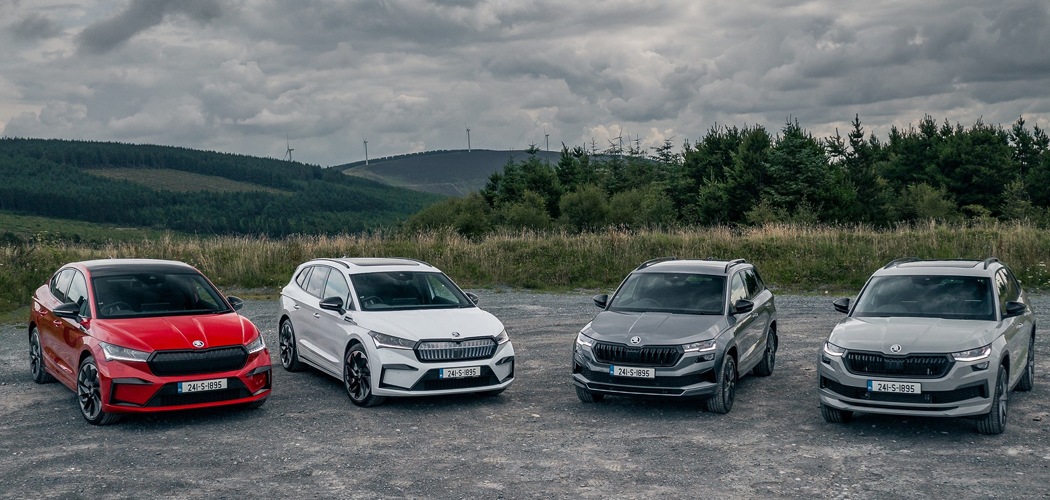 Škoda celebrates 30 years in Ireland with record 10,000 vehicle sales -  Donegal Daily