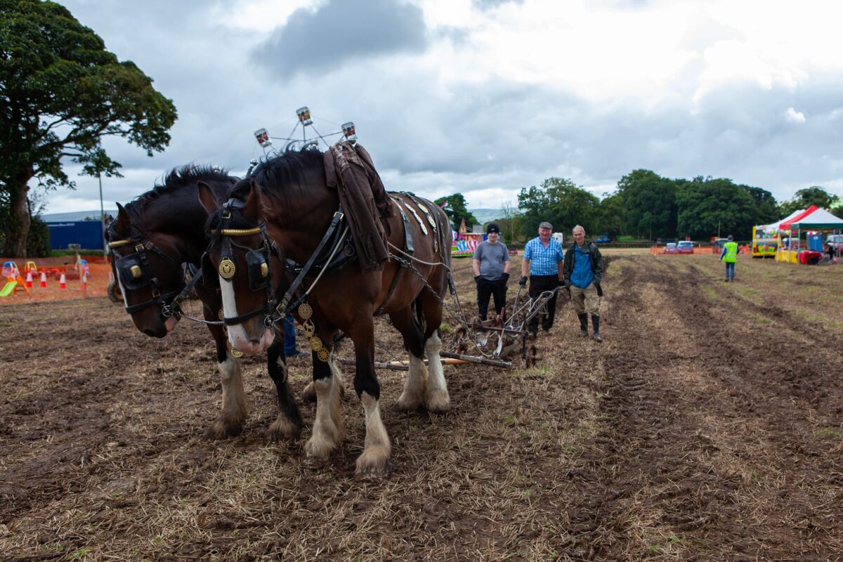 Vintage Show to steam up thousands of euro for Donegal Hospice!